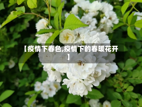 【疫情下春色,疫情下的春暖花开】-第2张图片