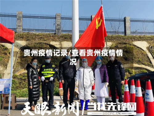 贵州疫情记录/查看贵州疫情情况
