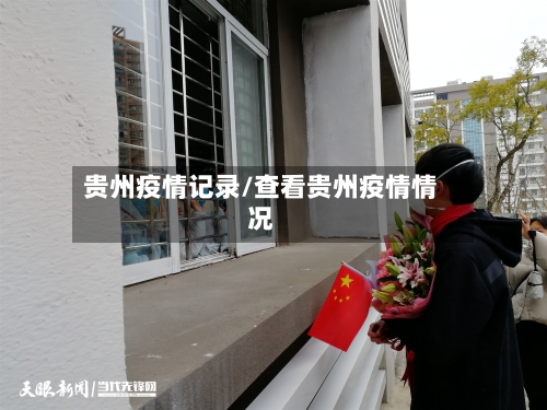 贵州疫情记录/查看贵州疫情情况-第2张图片