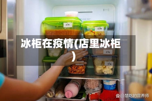 冰柜在疫情(店里冰柜)