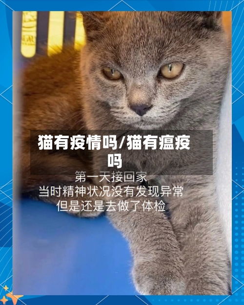 猫有疫情吗/猫有瘟疫吗-第2张图片