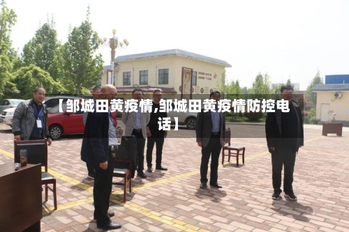 【邹城田黄疫情,邹城田黄疫情防控电话】