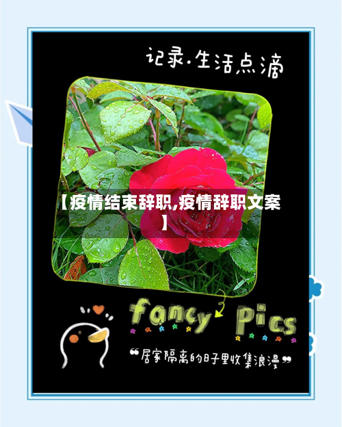 【疫情结束辞职,疫情辞职文案】