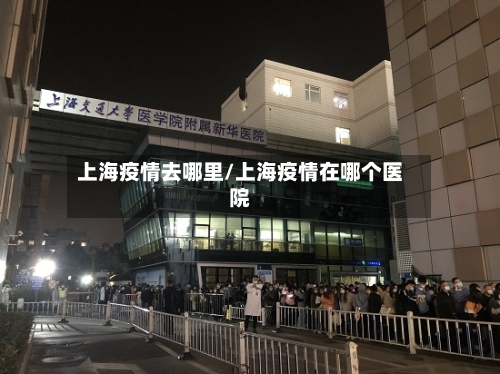 上海疫情去哪里/上海疫情在哪个医院-第2张图片