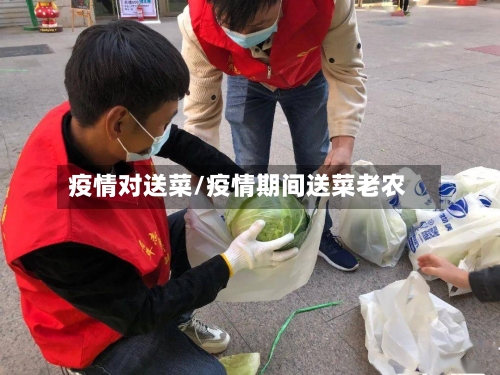 疫情对送菜/疫情期间送菜老农
