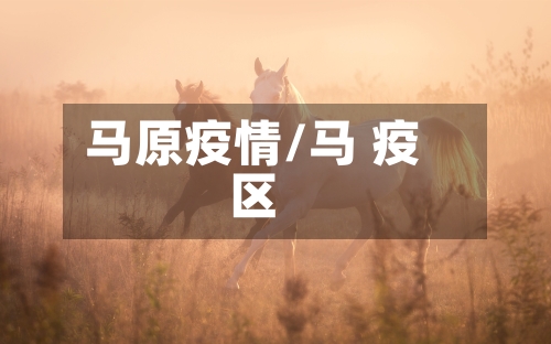 马原疫情/马 疫区