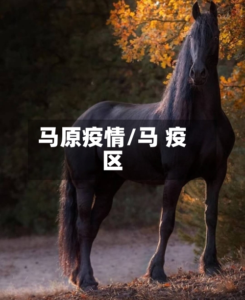 马原疫情/马 疫区-第2张图片