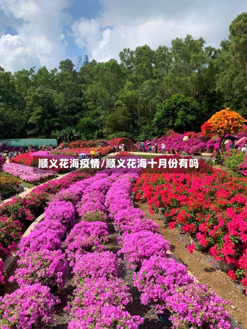 顺义花海疫情/顺义花海十月份有吗-第3张图片