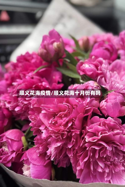 顺义花海疫情/顺义花海十月份有吗