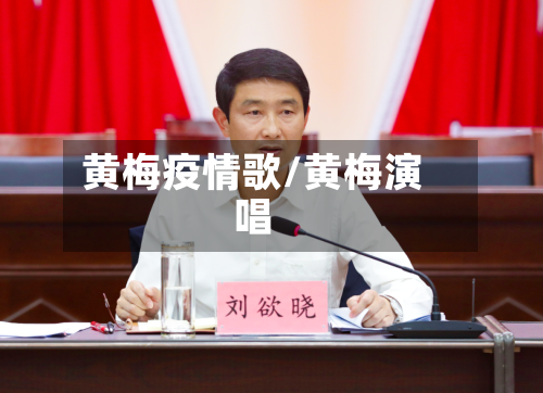 黄梅疫情歌/黄梅演唱-第2张图片