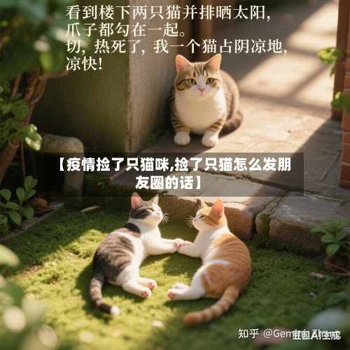 【疫情捡了只猫咪,捡了只猫怎么发朋友圈的话】