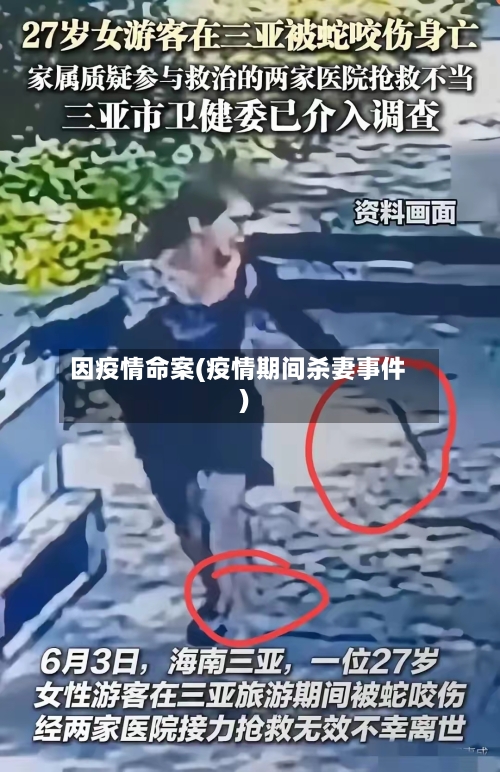 因疫情命案(疫情期间杀妻事件)-第3张图片