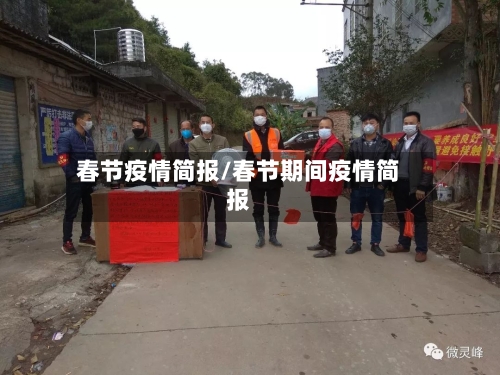 春节疫情简报/春节期间疫情简报