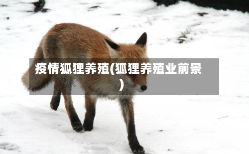 疫情狐狸养殖(狐狸养殖业前景)-第2张图片