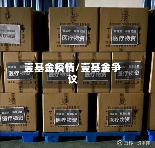 壹基金疫情/壹基金争议-第2张图片