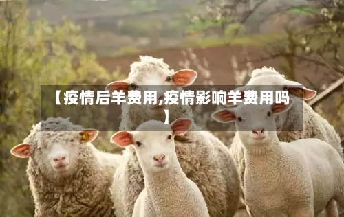【疫情后羊费用,疫情影响羊费用吗】