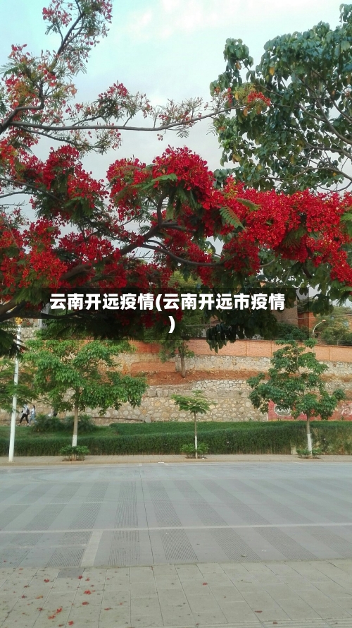 云南开远疫情(云南开远市疫情)
