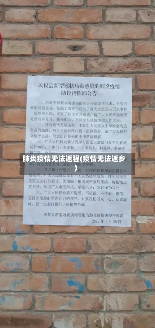 肺炎疫情无法返程(疫情无法返乡)-第2张图片