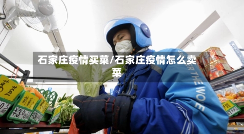 石家庄疫情买菜/石家庄疫情怎么卖菜-第2张图片