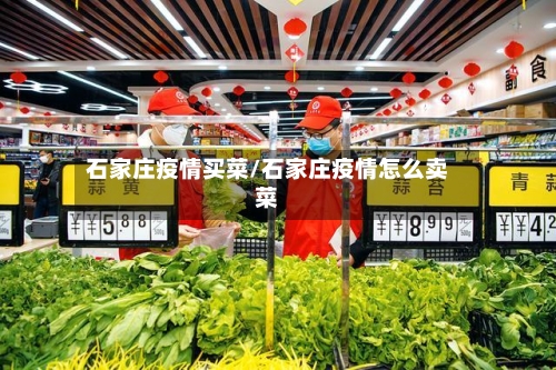 石家庄疫情买菜/石家庄疫情怎么卖菜