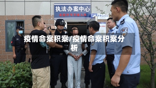 疫情命案积案/疫情命案积案分析