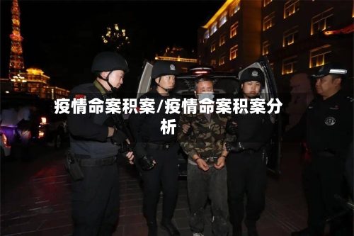 疫情命案积案/疫情命案积案分析-第3张图片