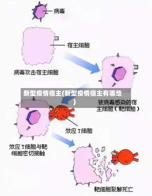 新型疫情宿主(新型疫情宿主有哪些)-第2张图片