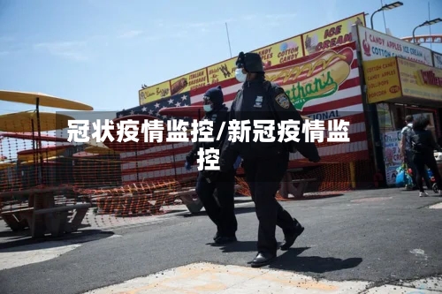 冠状疫情监控/新冠疫情监控-第2张图片