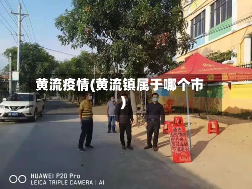 黄流疫情(黄流镇属于哪个市)-第2张图片
