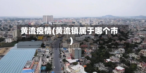 黄流疫情(黄流镇属于哪个市)