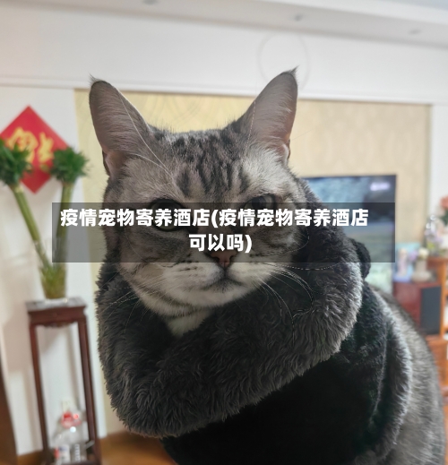 疫情宠物寄养酒店(疫情宠物寄养酒店可以吗)