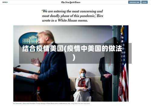 结合疫情美国(疫情中美国的做法)-第3张图片