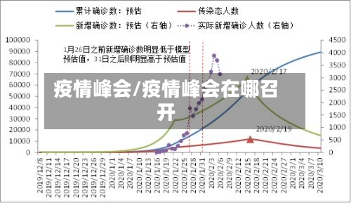 疫情峰会/疫情峰会在哪召开