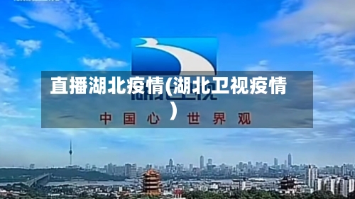 直播湖北疫情(湖北卫视疫情)-第2张图片