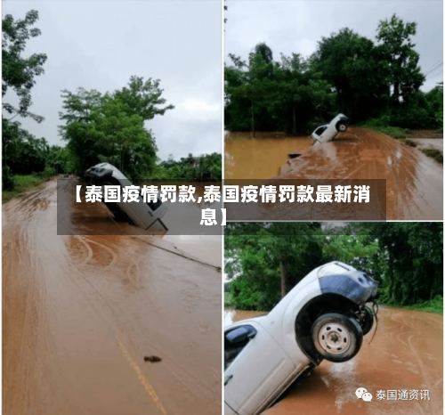 【泰国疫情罚款,泰国疫情罚款最新消息】-第3张图片