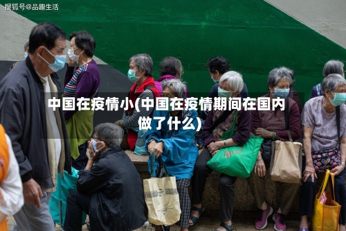 中国在疫情小(中国在疫情期间在国内做了什么)-第2张图片