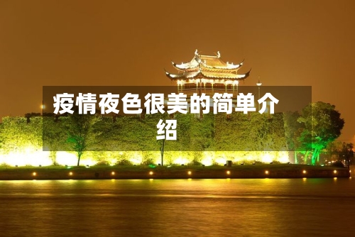 疫情夜色很美的简单介绍-第2张图片