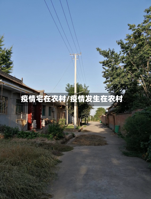 疫情宅在农村/疫情发生在农村