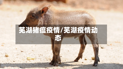 芜湖猪瘟疫情/芜湖疫情动态