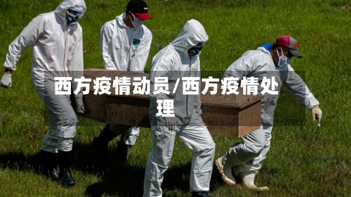 西方疫情动员/西方疫情处理-第2张图片