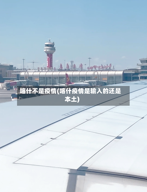 喀什不是疫情(喀什疫情是输入的还是本土)-第2张图片