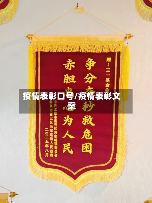 疫情表彰口号/疫情表彰文案