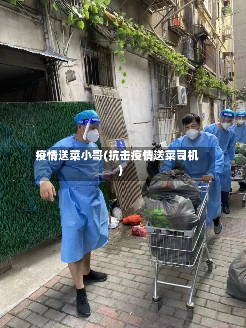 疫情送菜小哥(抗击疫情送菜司机)