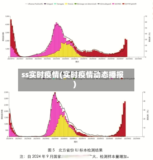 ss实时疫情(实时疫情动态播报)-第3张图片