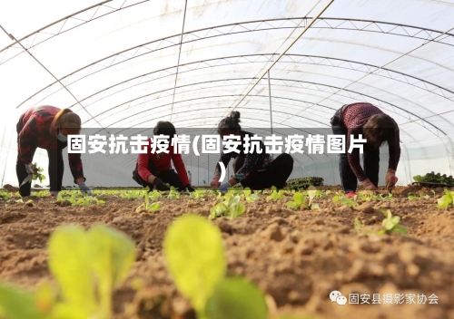 固安抗击疫情(固安抗击疫情图片)