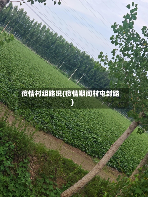 疫情村组路况(疫情期间村屯封路)