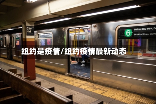 纽约是疫情/纽约疫情最新动态-第2张图片