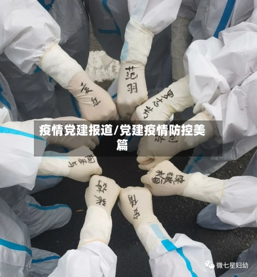 疫情党建报道/党建疫情防控美篇