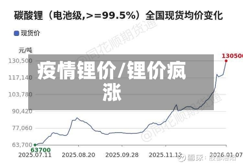 疫情锂价/锂价疯涨-第2张图片
