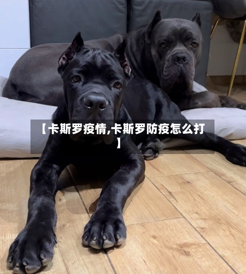 【卡斯罗疫情,卡斯罗防疫怎么打】-第2张图片